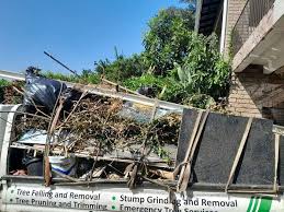 Best Recycling Services for Junk  in Taylorvle, IL