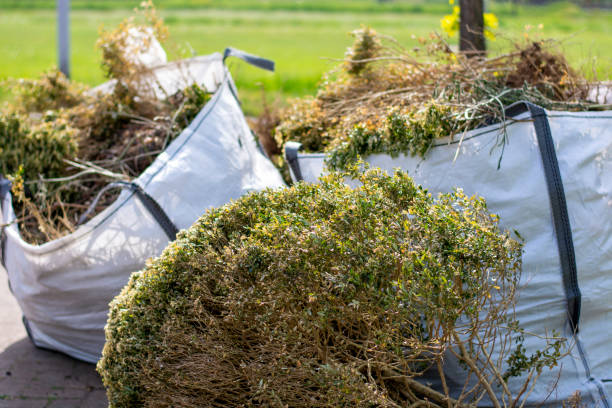 Best Appliance Removal  in Taylorvle, IL